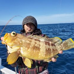 ブルーピア 釣果