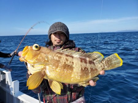 ブルーピア 釣果