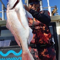 飛燕さくら丸 釣果