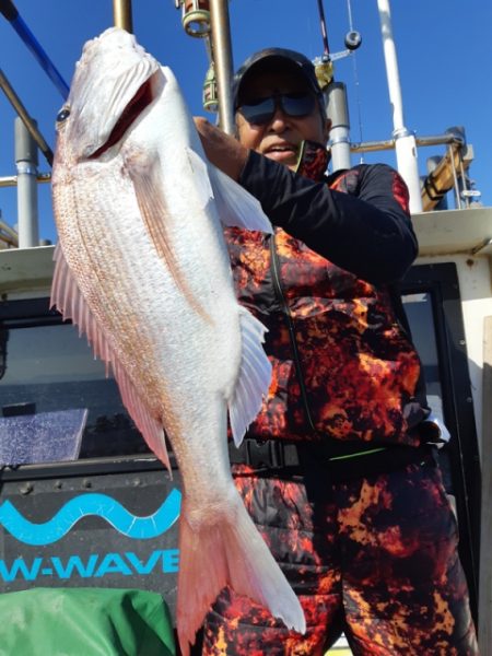 飛燕さくら丸 釣果