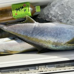 海龍丸（福岡） 釣果