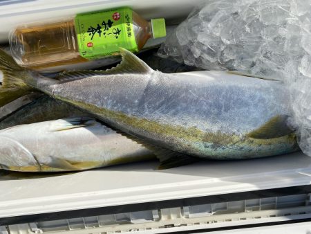 海龍丸（福岡） 釣果