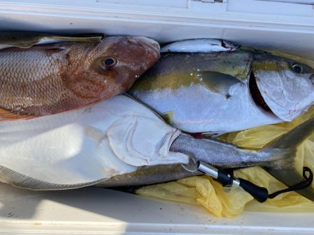 海龍丸（福岡） 釣果