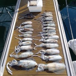 フィッシングボートACE(エース) 釣果