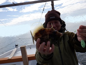 遊漁船 幸友丸 釣果