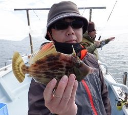 遊漁船 幸友丸 釣果