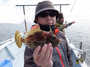 遊漁船 幸友丸 釣果