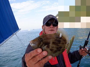 遊漁船 幸友丸 釣果