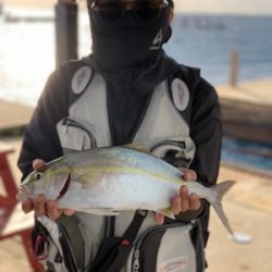 本部釣りイカダ 釣果