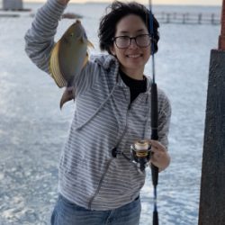 本部釣りイカダ 釣果