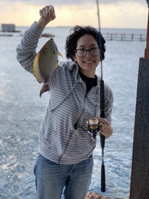 本部釣りイカダ 釣果