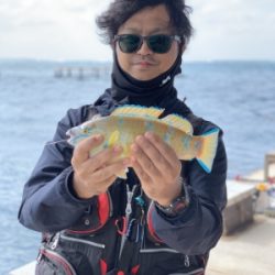 本部釣りイカダ 釣果