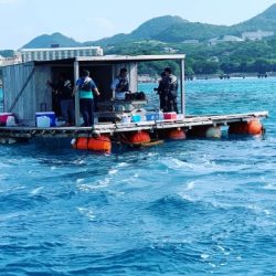 本部釣りイカダ 釣果