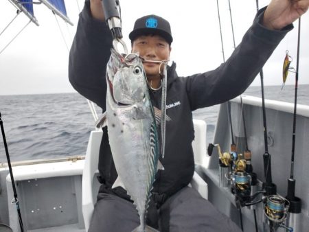 ブルーピア 釣果