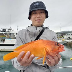 ブルーピア 釣果