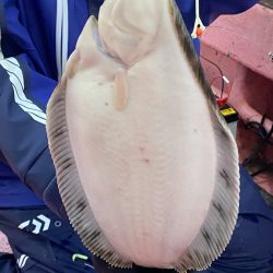 第八平成丸 釣果