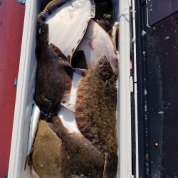 第八平成丸 釣果