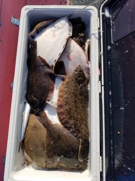 第八平成丸 釣果