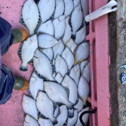 第八平成丸 釣果