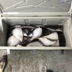 第八平成丸 釣果