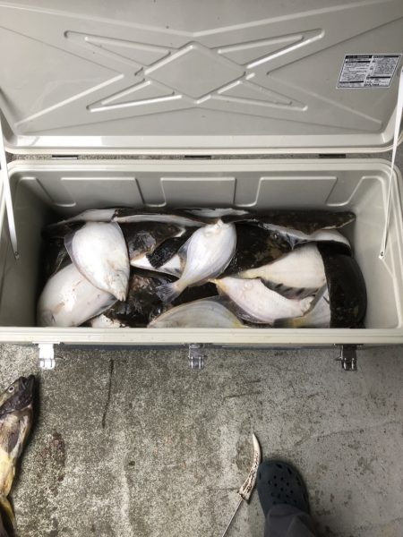 第八平成丸 釣果