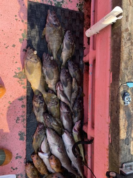 第八平成丸 釣果