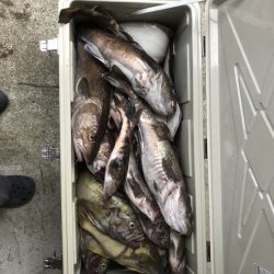 第八平成丸 釣果