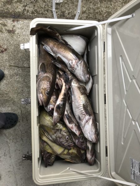 第八平成丸 釣果