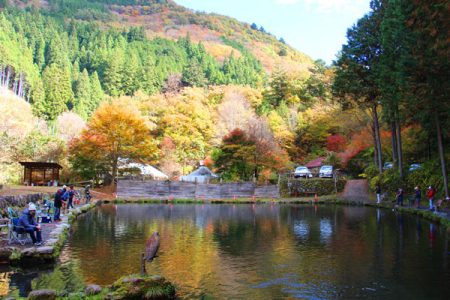 小菅トラウトガーデン 釣果