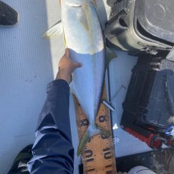 海龍丸(福岡) 釣果