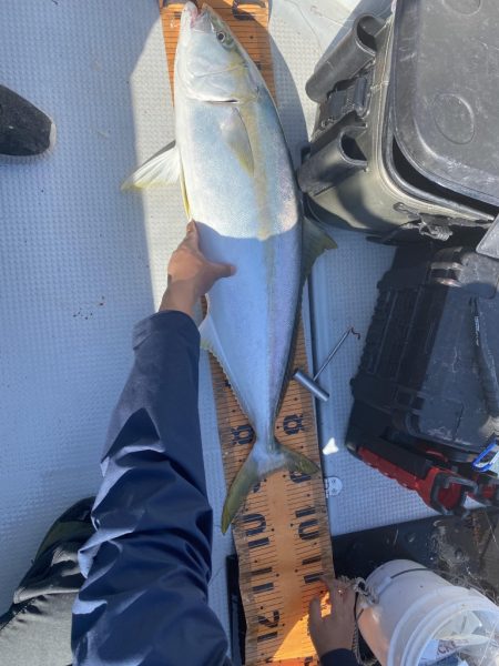 海龍丸(福岡) 釣果