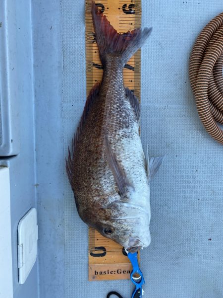 海龍丸(福岡) 釣果