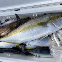 海龍丸(福岡) 釣果