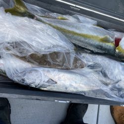 海龍丸(福岡) 釣果