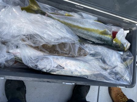 海龍丸(福岡) 釣果