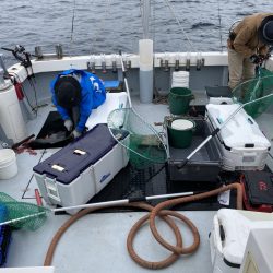 海龍丸(福岡) 釣果