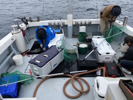 海龍丸(福岡) 釣果