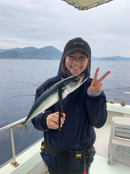 マタウマリンサービス 釣果