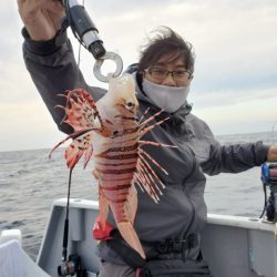 ブルーピア 釣果