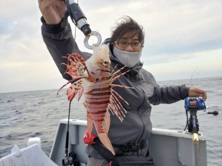 ブルーピア 釣果