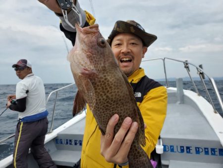 ブルーピア 釣果