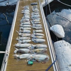 フィッシングボートACE(エース) 釣果