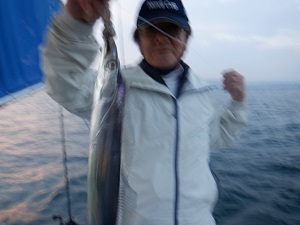 遊漁船 幸友丸 釣果