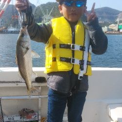 ルアー船マヒマヒ 釣果