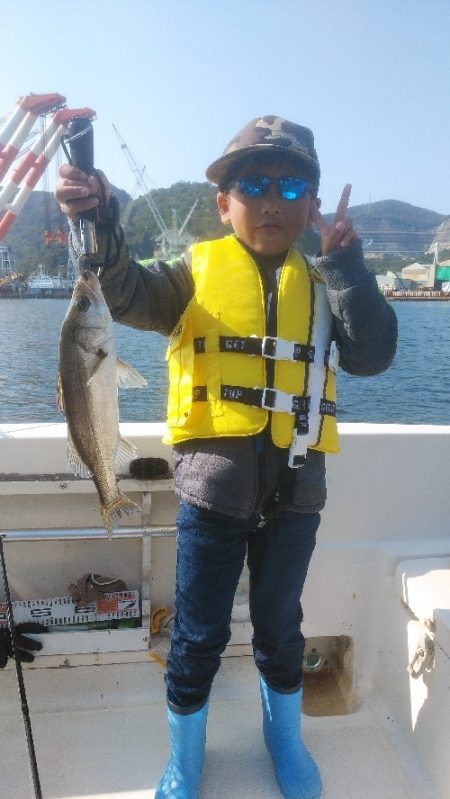 ルアー船マヒマヒ 釣果