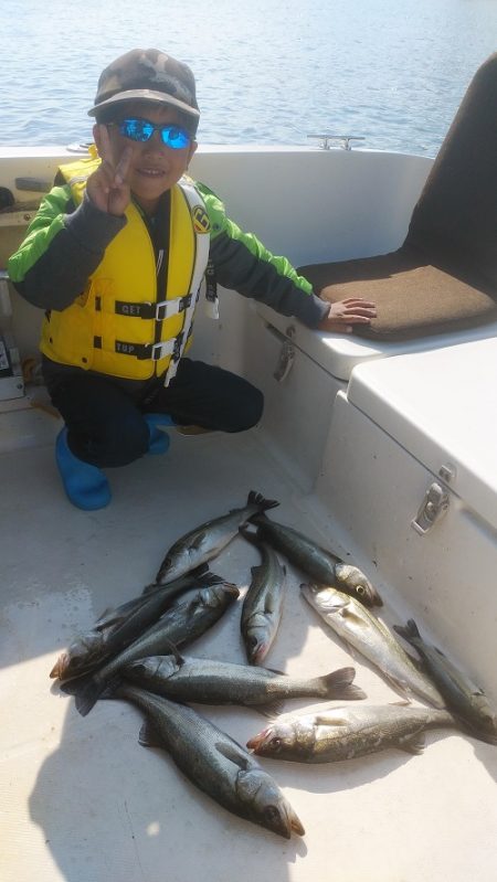 ルアー船マヒマヒ 釣果