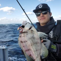 ブルーピア 釣果