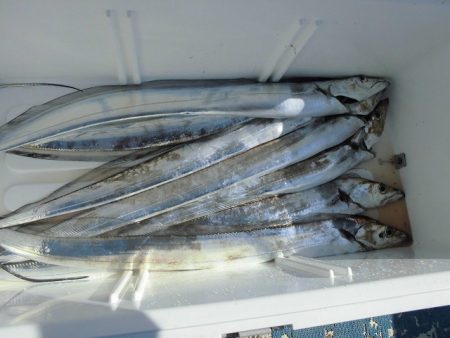 十八宝洋丸 釣果