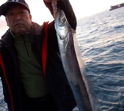 遊漁船 幸友丸 釣果