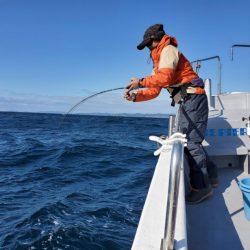 ブルーピア 釣果